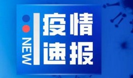 吉林新闻爆料网官网最新