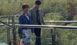 杨紫和肖战最新真实爆料,揭秘幕后故事与真实情感